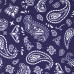 Шкурка для скейтборда dipGRIP Paisley Violet Шкурка для скейтборда dipGRIP Paisley Violet